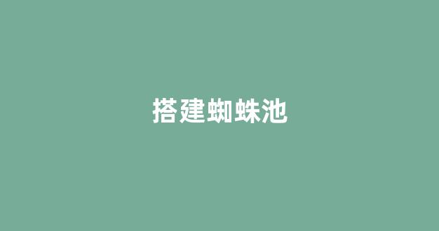 百度seo排名优化