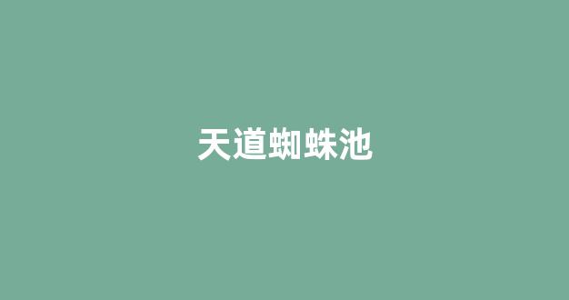 seo优化公司