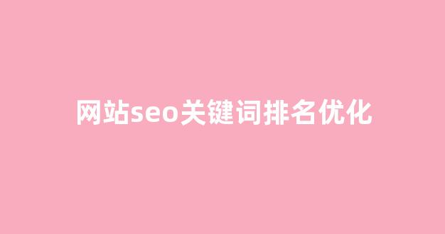 百度seo排名优化软件